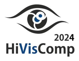 HiVisComp 2024