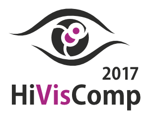 HiVisComp 2017