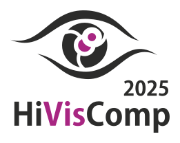 HiVisComp 2025